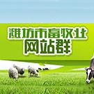 行业网站群